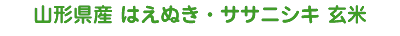 山形県産 はえぬき・ササニシキ 玄米