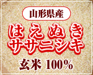 山形県産 はえぬき・ササニシキ 玄米