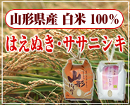 山形県産 はえぬき・ササニシキ 白米
